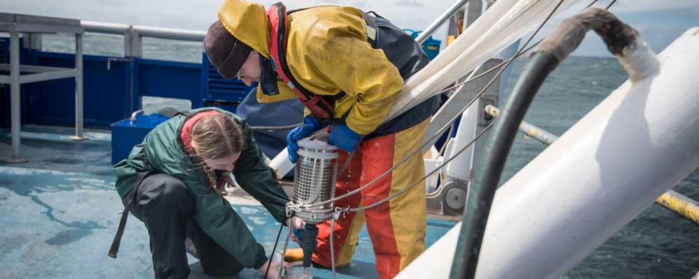 You are currently viewing UMR 7482 – Marine Ecosystems and oRganisms reSEArch Lab (MERSEA)